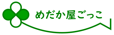 メダカ専門店「めだか屋ごっこ」