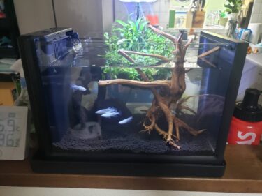 メダ活写真展（No.4）