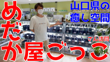 「でんぼちゃんねる」でご紹介いただきました