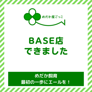 「めだか屋ごっこ」BASE店できました