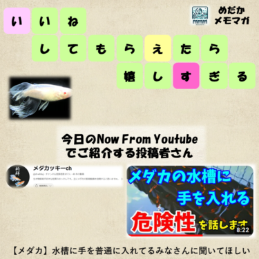 めだかメモマガ（MMM:No.10）